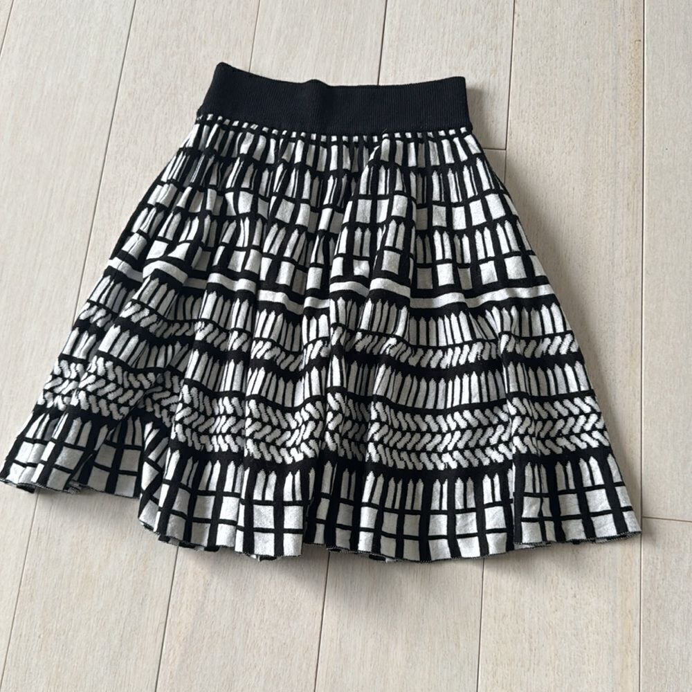 Black & White Skirt